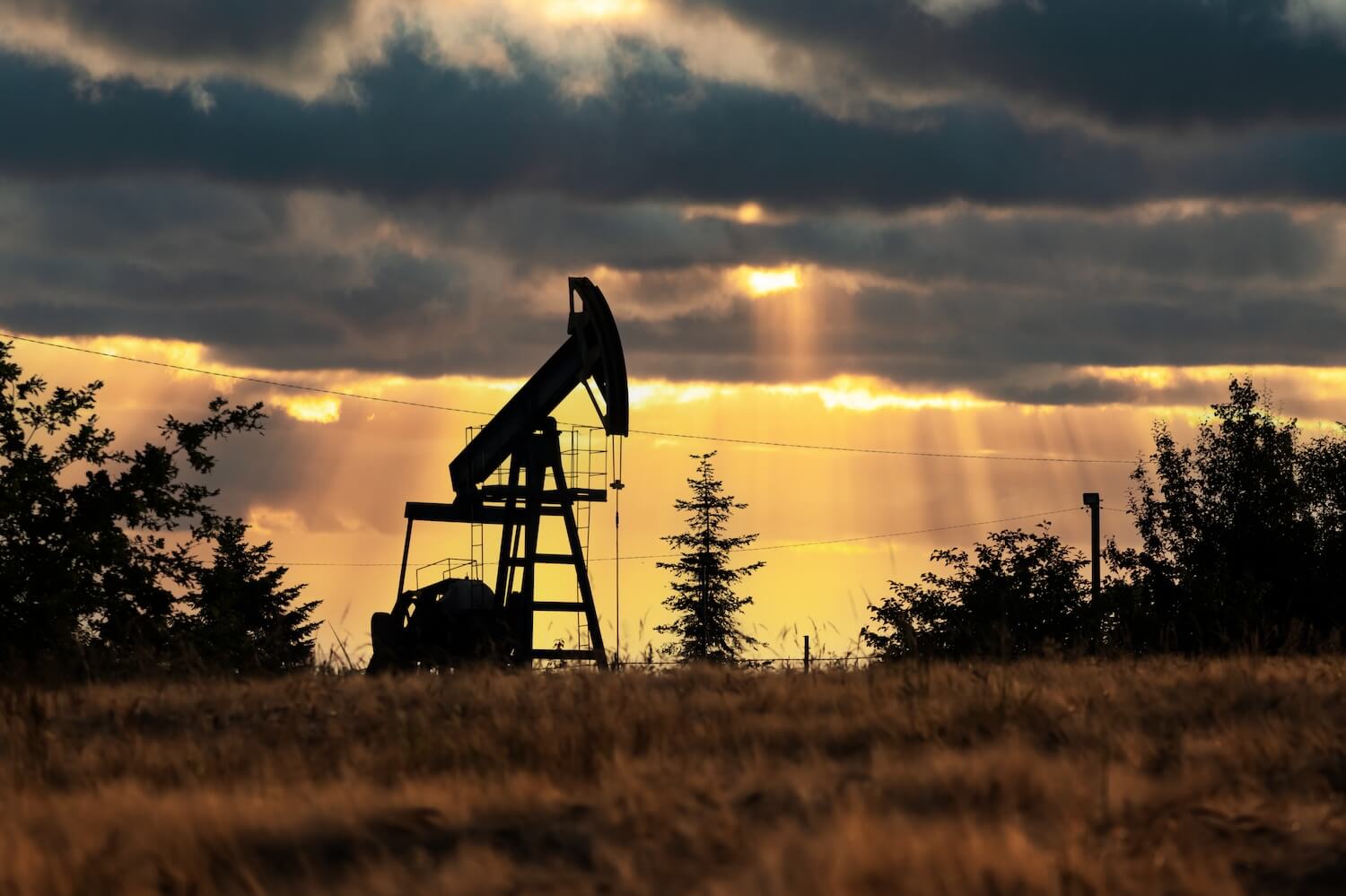 Why You Should Consider Selling Your Inherited Mineral Rights in Andrews County, Texas sell tax offer trust families